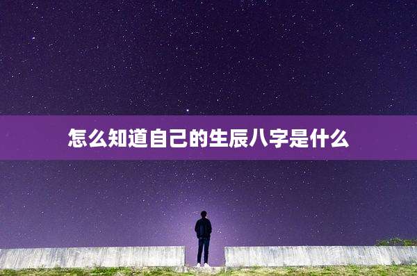 怎么知道自己的生辰八字是什么