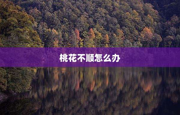 桃花不顺怎么办