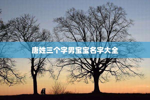 唐姓三个字男宝宝名字大全