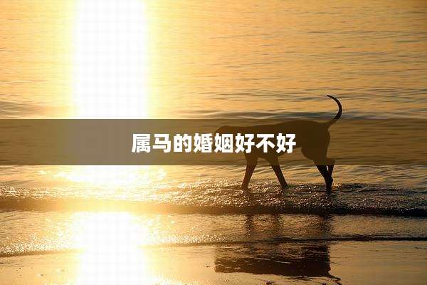 属马的婚姻好不好