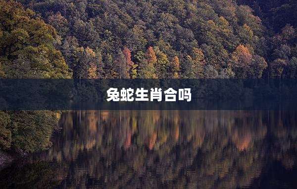 兔蛇生肖合吗