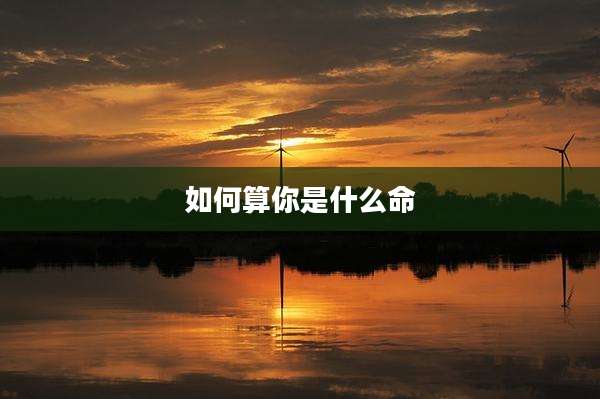 如何算你是什么命