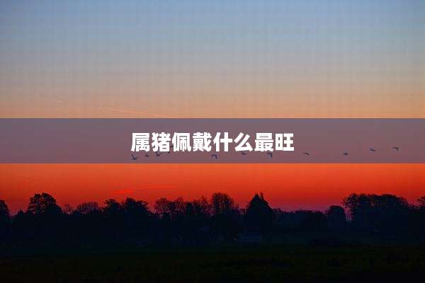 属猪佩戴什么最旺