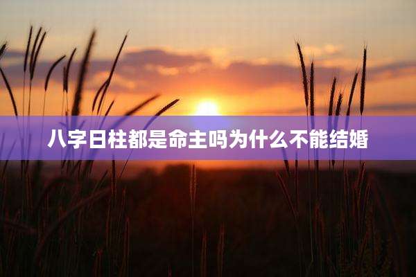 八字日柱都是命主吗为什么不能结婚