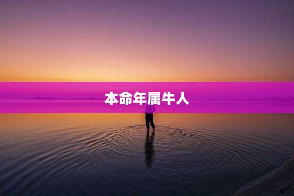 本命年属牛人