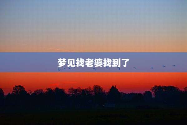 梦见找老婆找到了