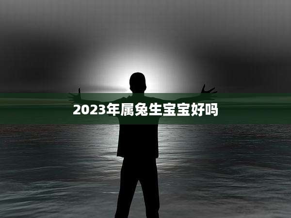 2023年属兔生宝宝好吗