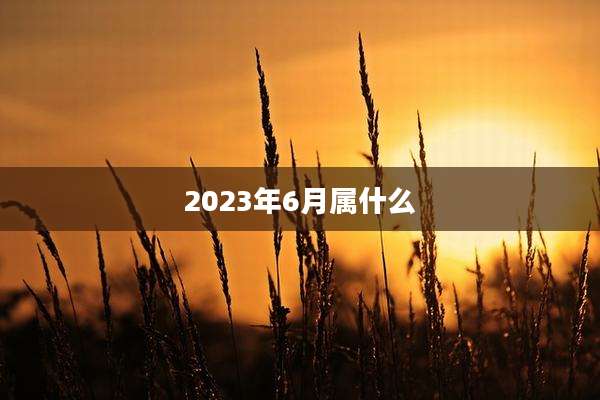 2023年6月属什么