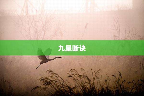 九星断诀