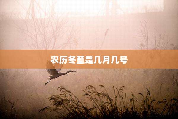 农历冬至是几月几号