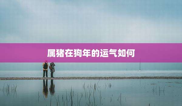 属猪在狗年的运气如何