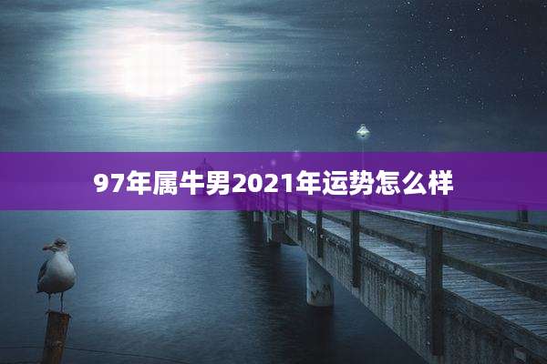 97年属牛男2021年运势怎么样