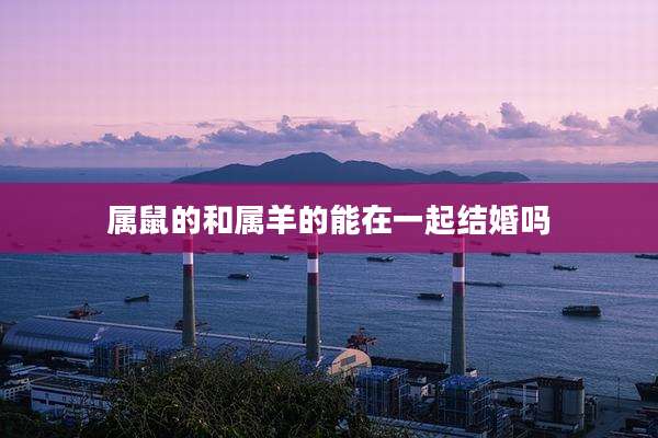 属鼠的和属羊的能在一起结婚吗