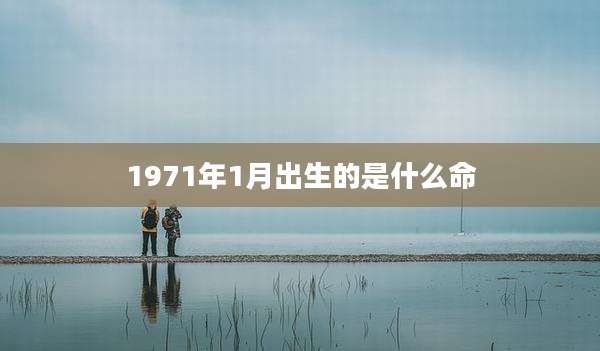 1971年1月出生的是什么命