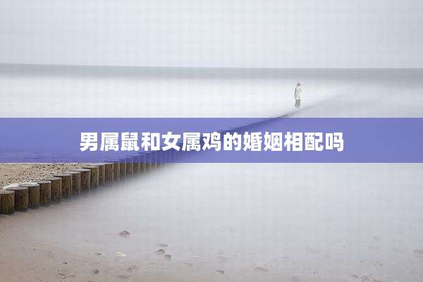 男属鼠和女属鸡的婚姻相配吗