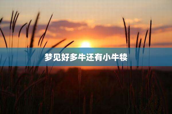 梦见好多牛还有小牛犊