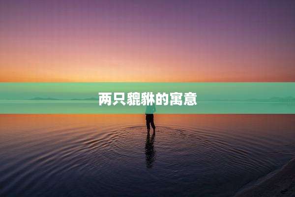 两只貔貅的寓意