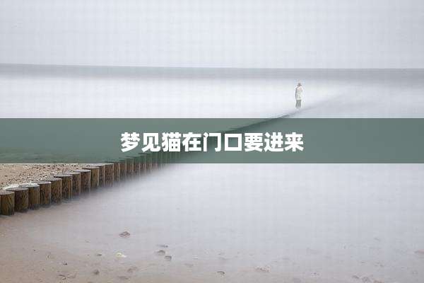 梦见猫在门口要进来