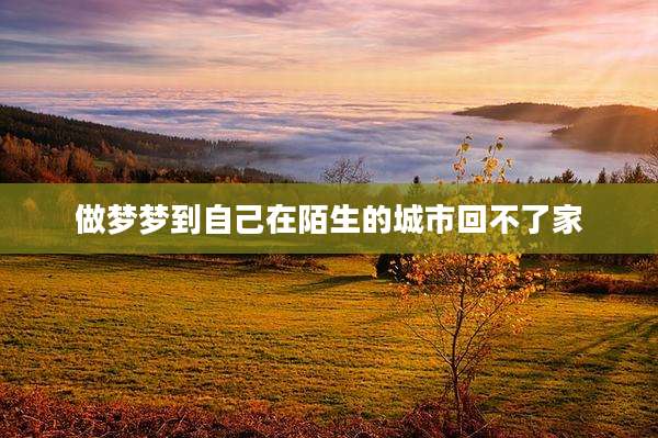 做梦梦到自己在陌生的城市回不了家