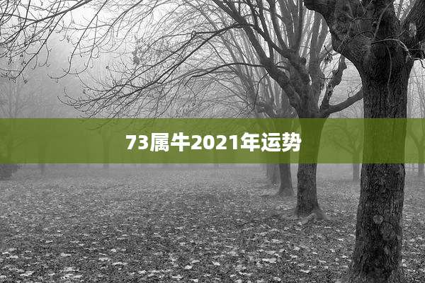 73属牛2021年运势