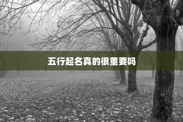 五行起名真的很重要吗