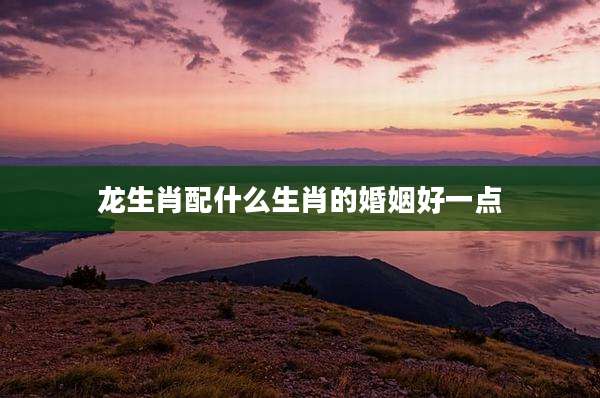 龙生肖配什么生肖的婚姻好一点