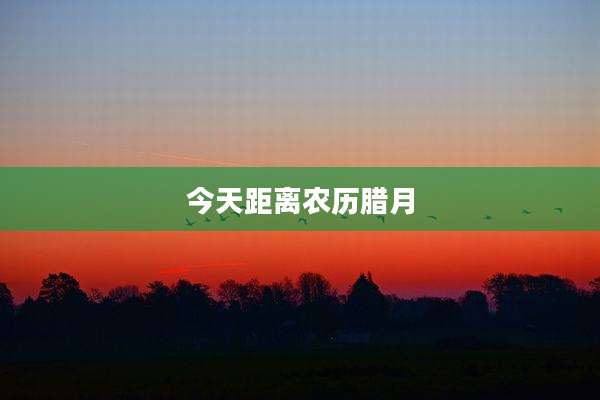今天距离农历腊月