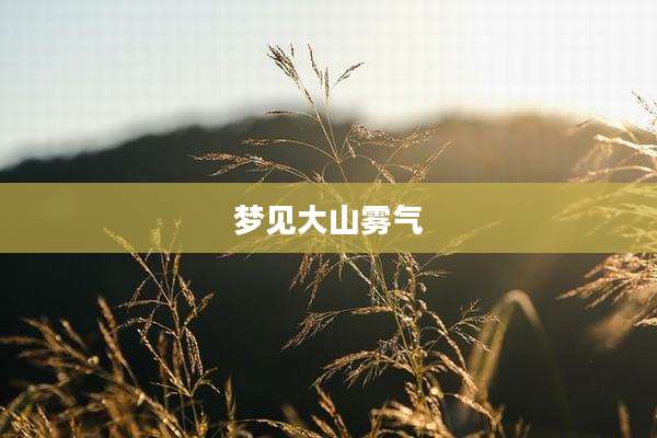 梦见大山雾气