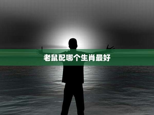 老鼠配哪个生肖最好