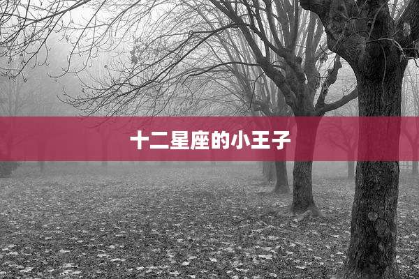 十二星座的小王子