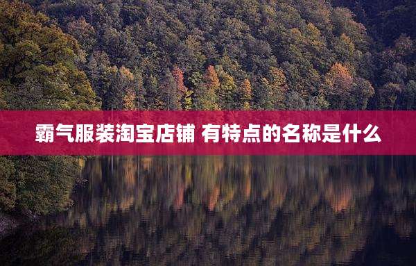霸气服装淘宝店铺 有特点的名称是什么