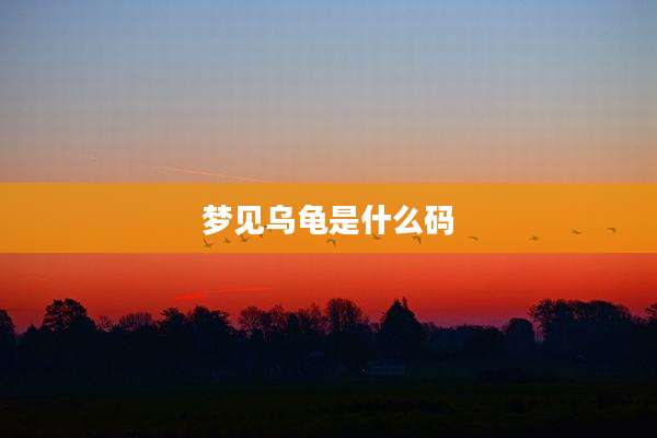 梦见乌龟是什么码