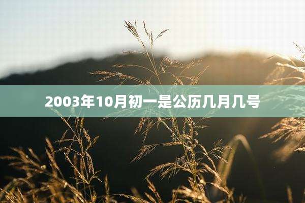 2003年10月初一是公历几月几号