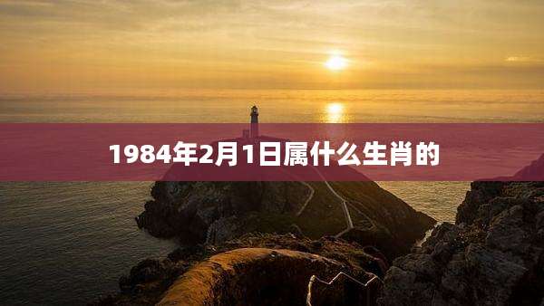 1984年2月1日属什么生肖的