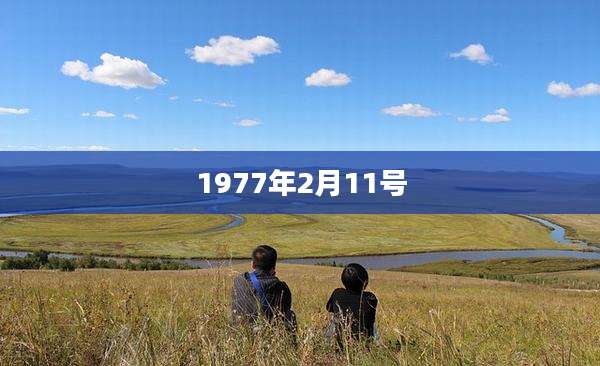 1977年2月11号