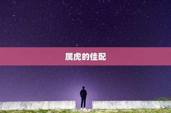属虎的佳配