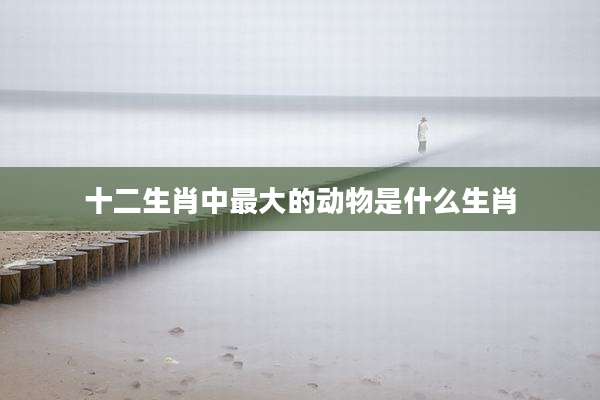 十二生肖中最大的动物是什么生肖