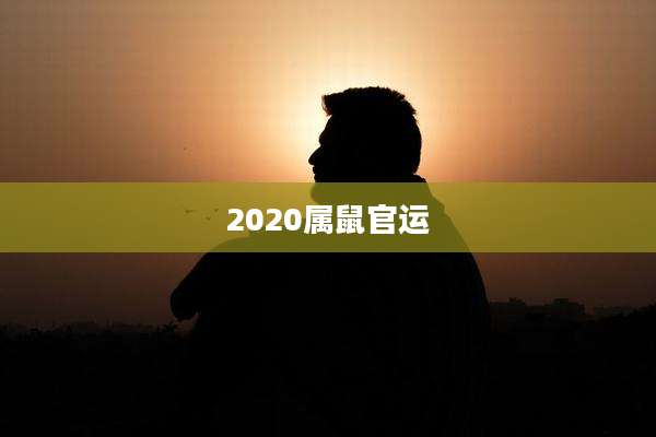 2020属鼠官运