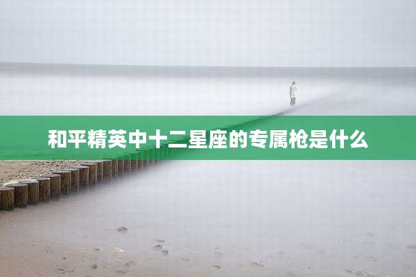 和平精英中十二星座的专属枪是什么