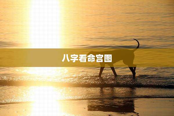 八字看命宫图