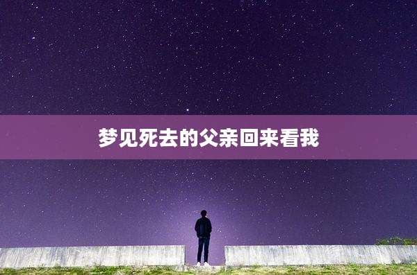 梦见死去的父亲回来看我