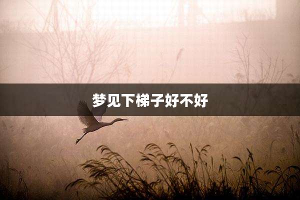 梦见下梯子好不好