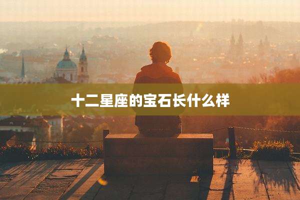 十二星座的宝石长什么样
