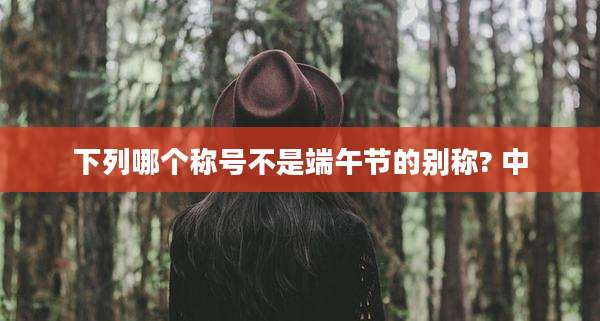 下列哪个称号不是端午节的别称? 中