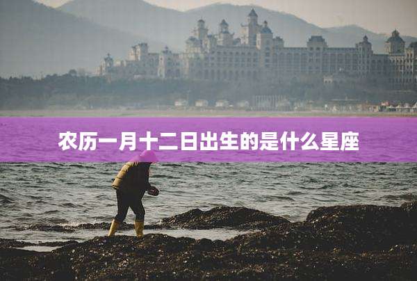农历一月十二日出生的是什么星座