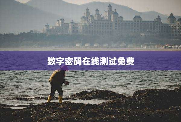 数字密码在线测试免费