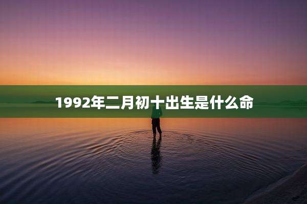 1992年二月初十出生是什么命