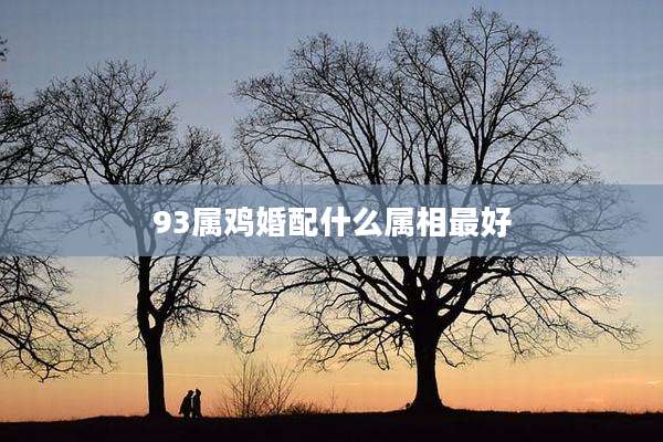 93属鸡婚配什么属相最好