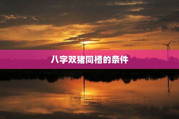 八字双猪同槽的条件