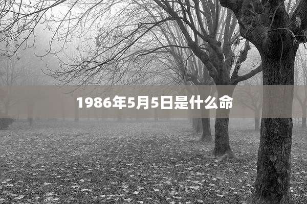 1986年5月5日是什么命